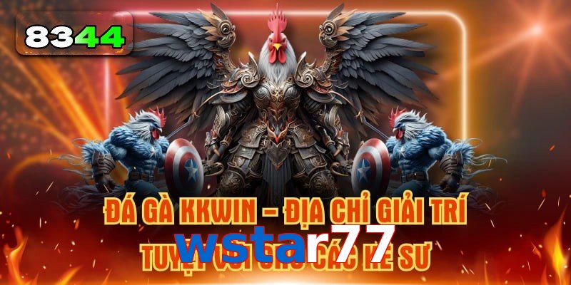 Xu Hướng Đá Gà wstar77 Hấp Dẫn Không Thể Bỏ Lỡ